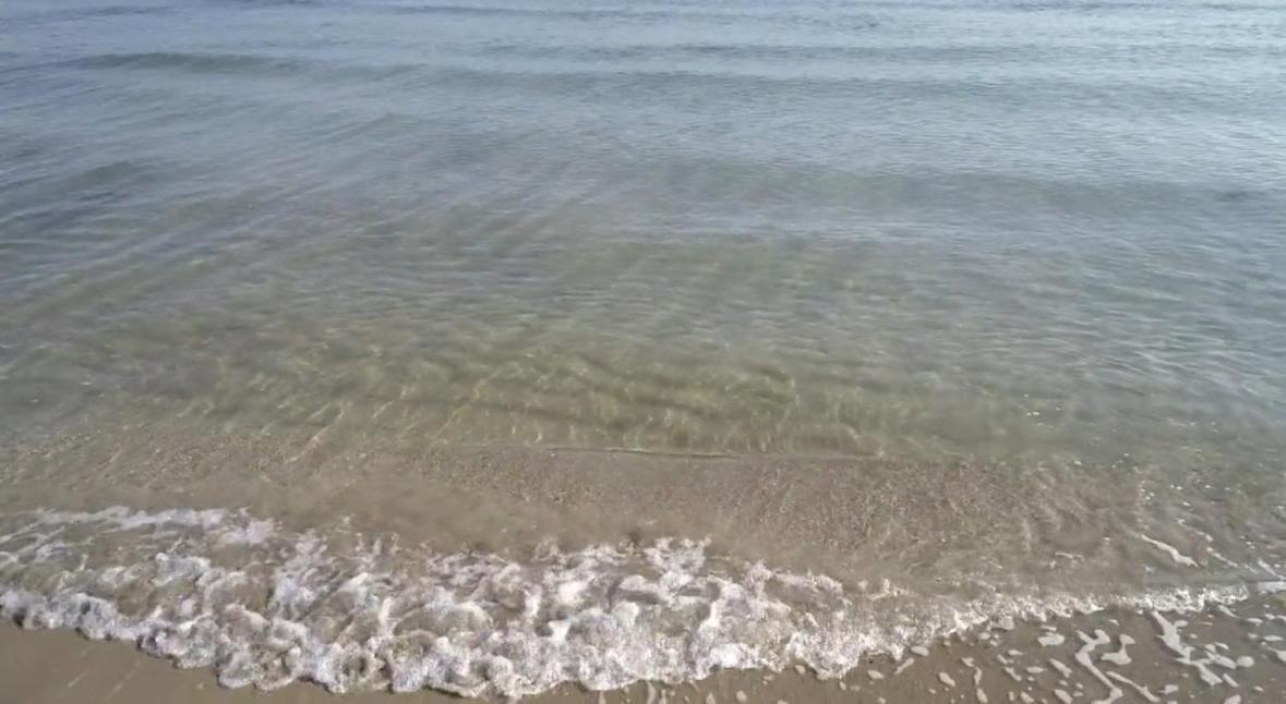 La Mia Terrazza Sul Mare - Mared'amare Apartment