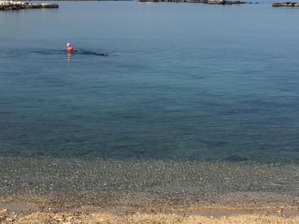 La Mia Terrazza Sul Mare - Mared'amare Apartamento